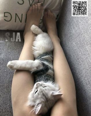 我的错误完整版在线播放_国产剧电影完整版在线观看