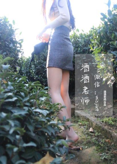 极拳攻缉_DVD电影在线看
