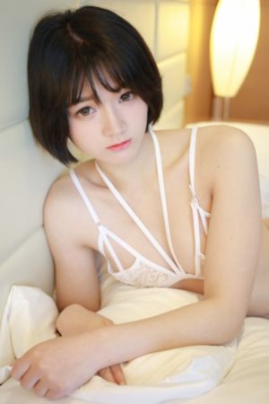 顶楼大象在线观看_BD超清在线观看